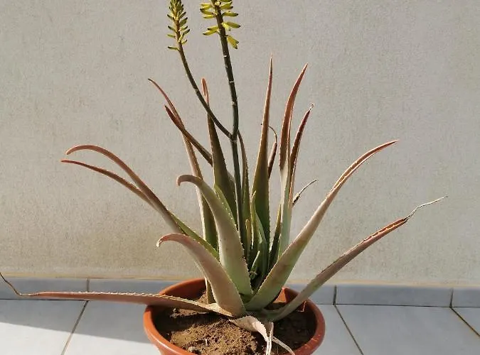 Prázdninový dům Relax 2 A 10 Minutos De Corralejo *